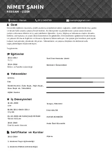 Ressam Cv Örnekleri cv indir